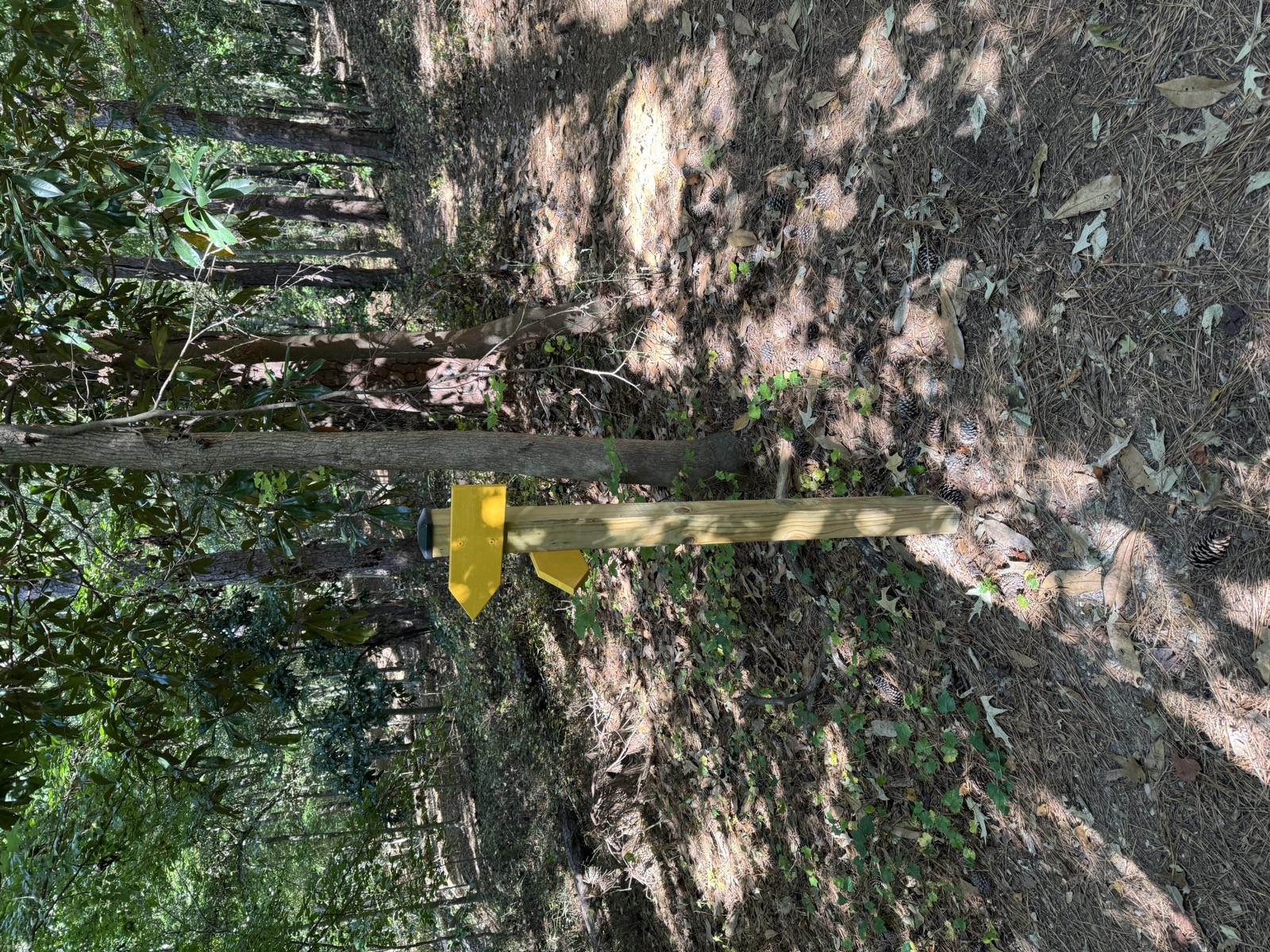 A trail marker in a Norcross greenspace
